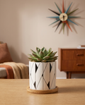 Geometric Ceramic Planter