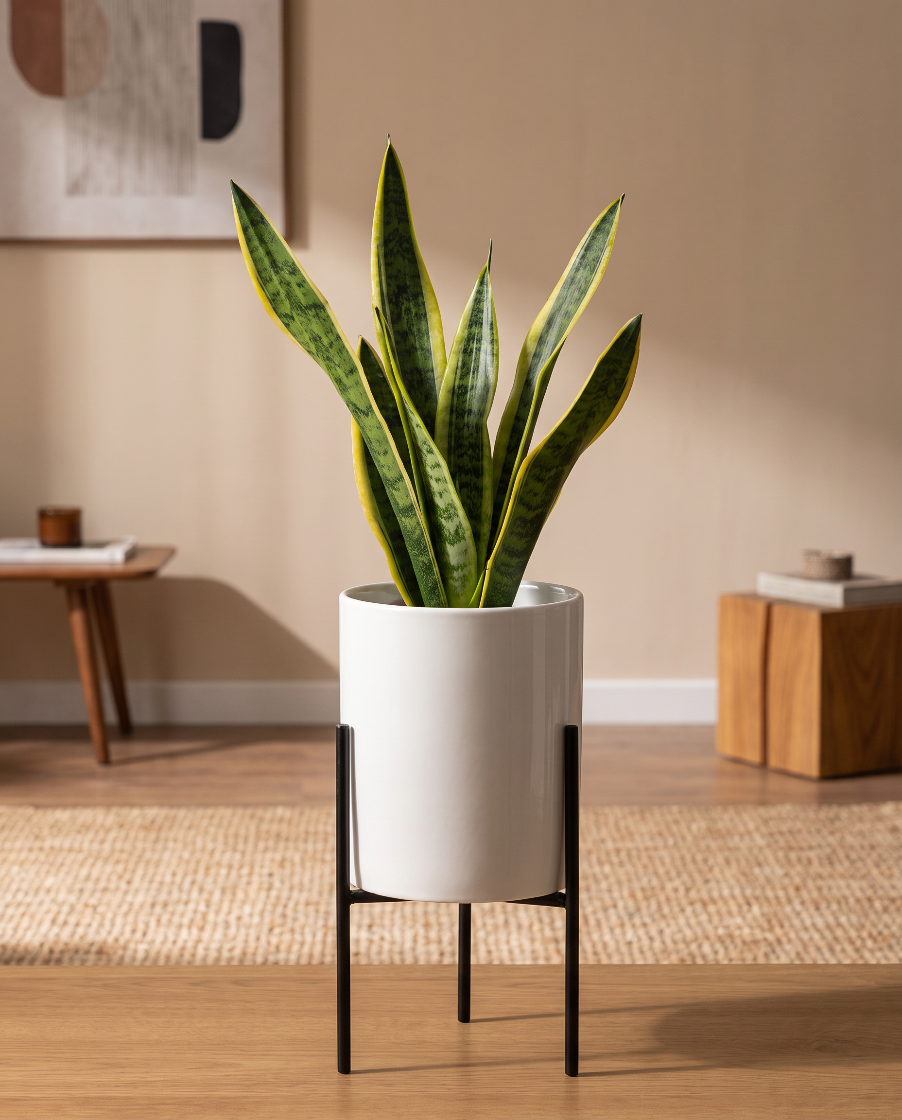 Ceramic Planter with Iron Frame